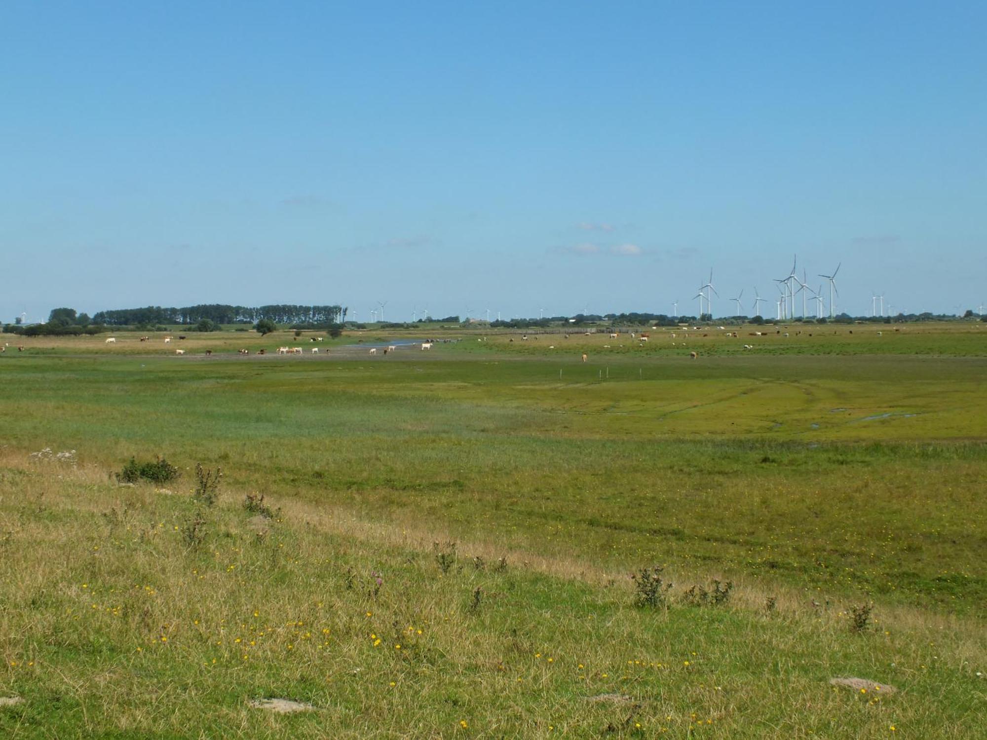 Ferienwohnung In Osterdeichstrich Oesterdeichstrich Экстерьер фото